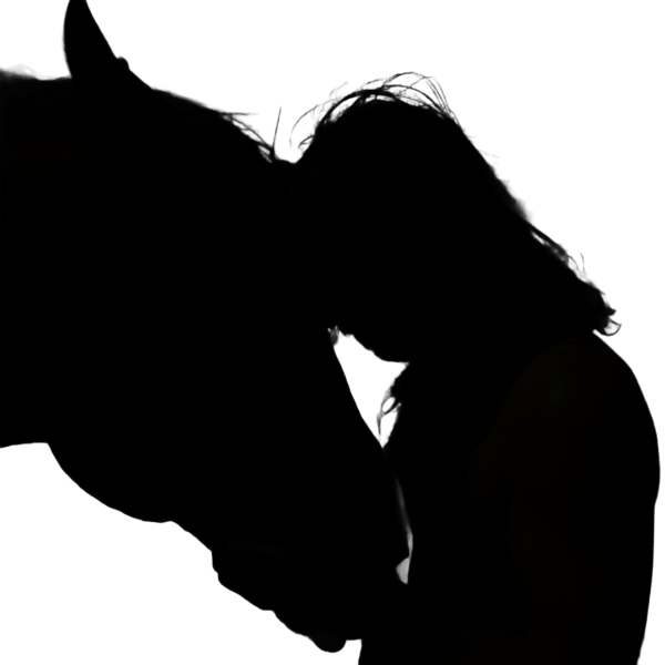 Coaching amb Cavalls